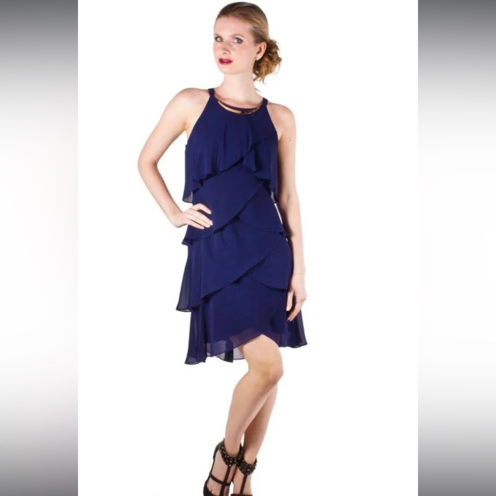 Deep Purple chiffon dress with silky lining